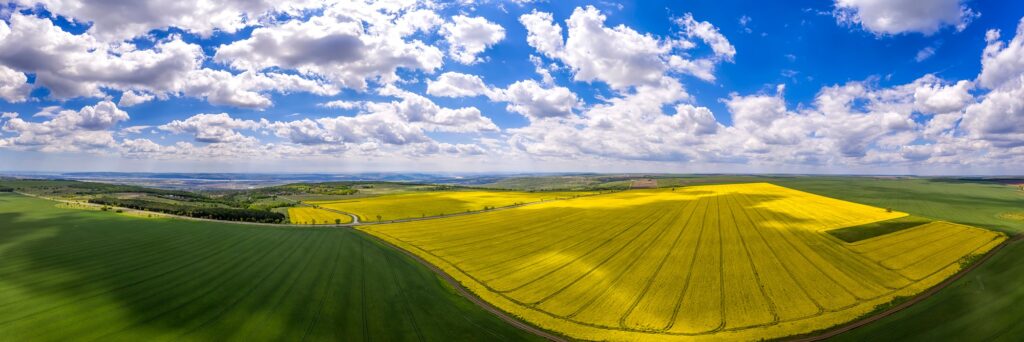 Countryside farmland