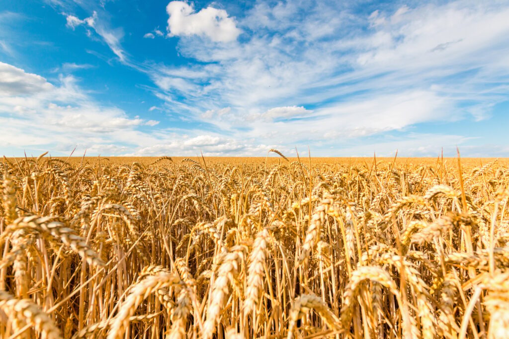 buy and sell farmland in Alberta